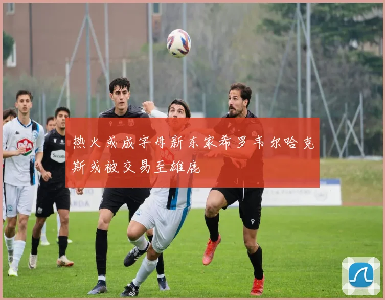 热火或成字母新东家希罗韦尔哈克斯或被交易至雄鹿