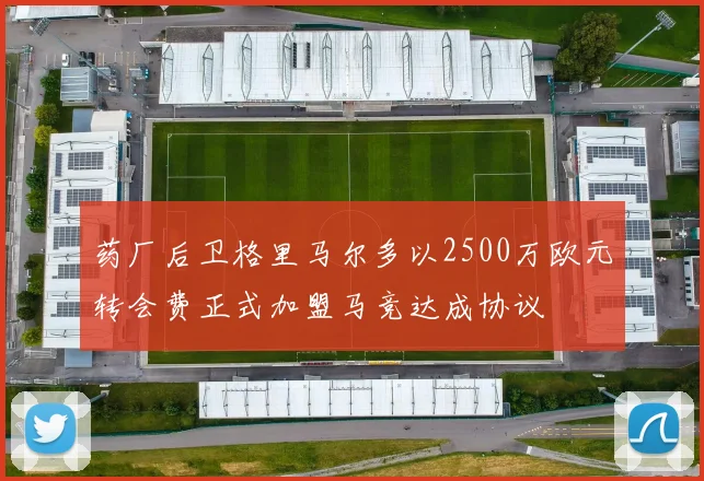 药厂后卫格里马尔多以2500万欧元转会费正式加盟马竞达成协议