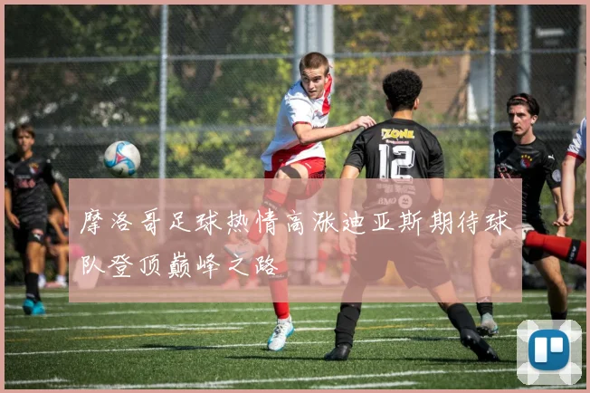 摩洛哥足球热情高涨迪亚斯期待球队登顶巅峰之路