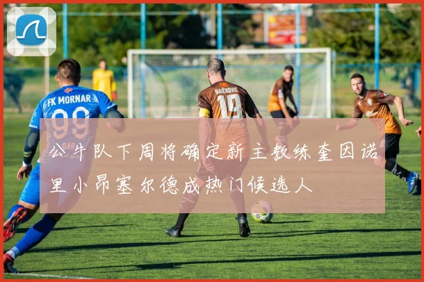 公牛队下周将确定新主教练奎因诺里小昂塞尔德成热门候选人