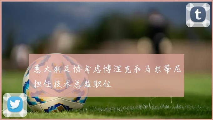 意大利足协考虑博涅克和马尔蒂尼担任技术总监职位